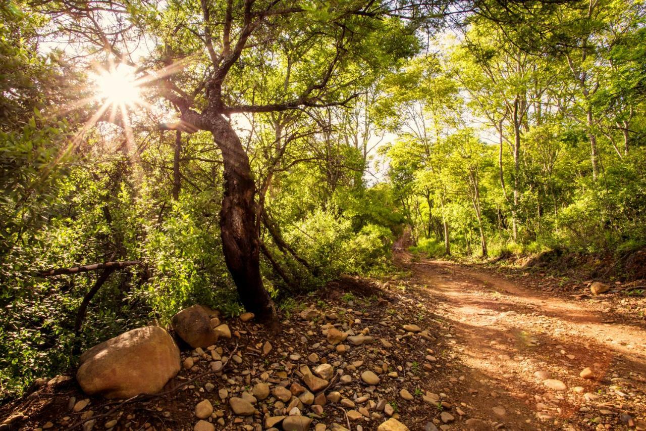 Rivendell Trout Estate Villa Lydenburg Buitenkant foto